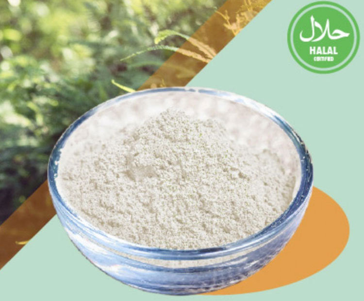 Chondroitin Sulfate Chondroitin Sulfate